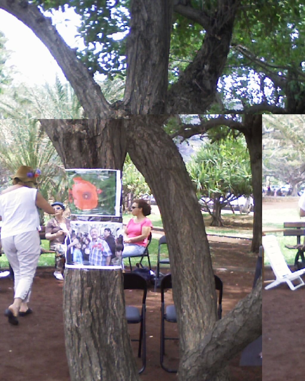 site de rencontre gratuit a ile de la reunion