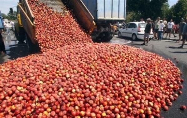 http://aid97400.lautre.net/IMG/jpg/ActionDeProducteursFruitsEtLegumes.jpg